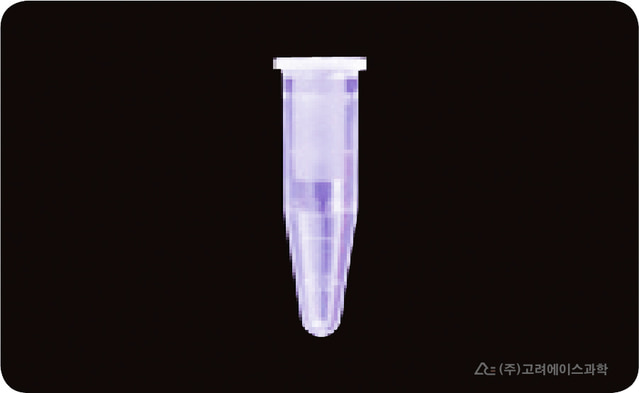 1.5ml 노캡 마이크로 튜브 500개