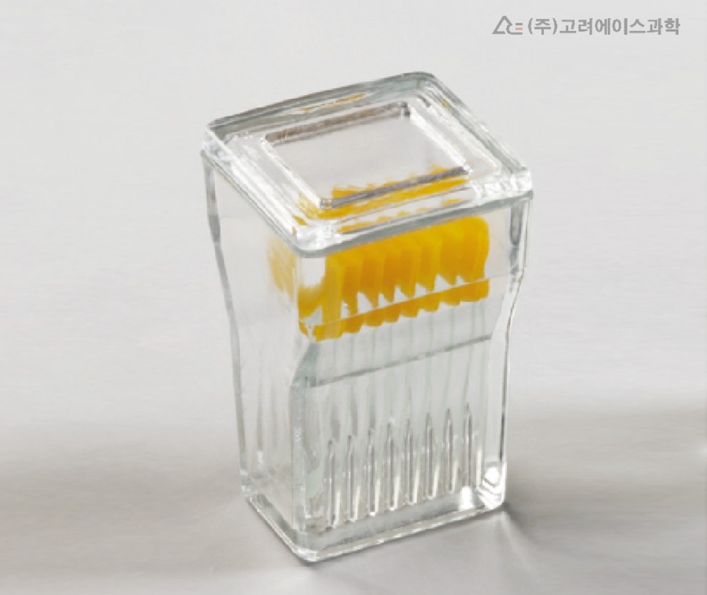 CITOTEST 커플린 자  슬라이드 염색 Staining Jar Glass
